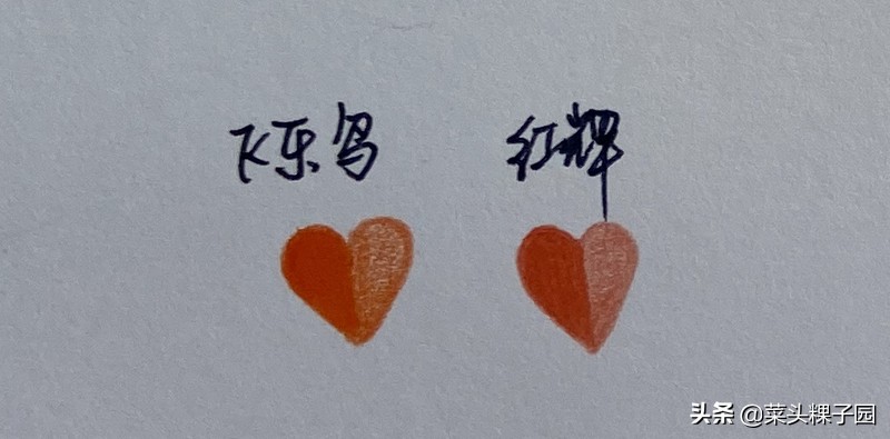 飞乐鸟50色国风彩铅,飞乐鸟彩铅测评