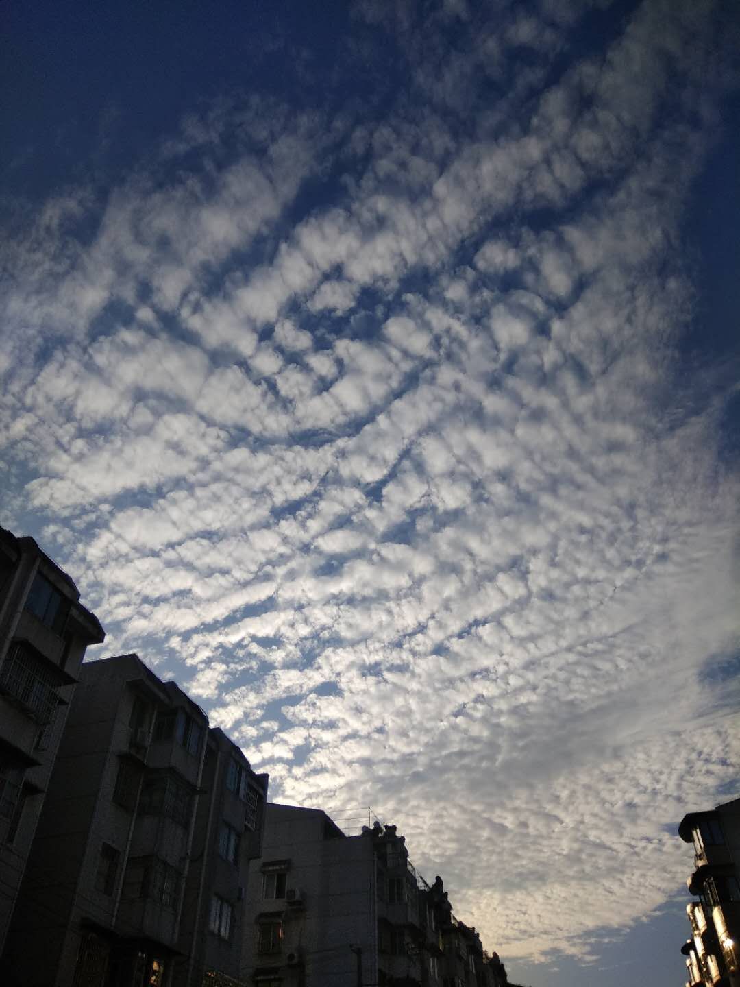 2019犯凶星的属相,2019年犯凶星的属相