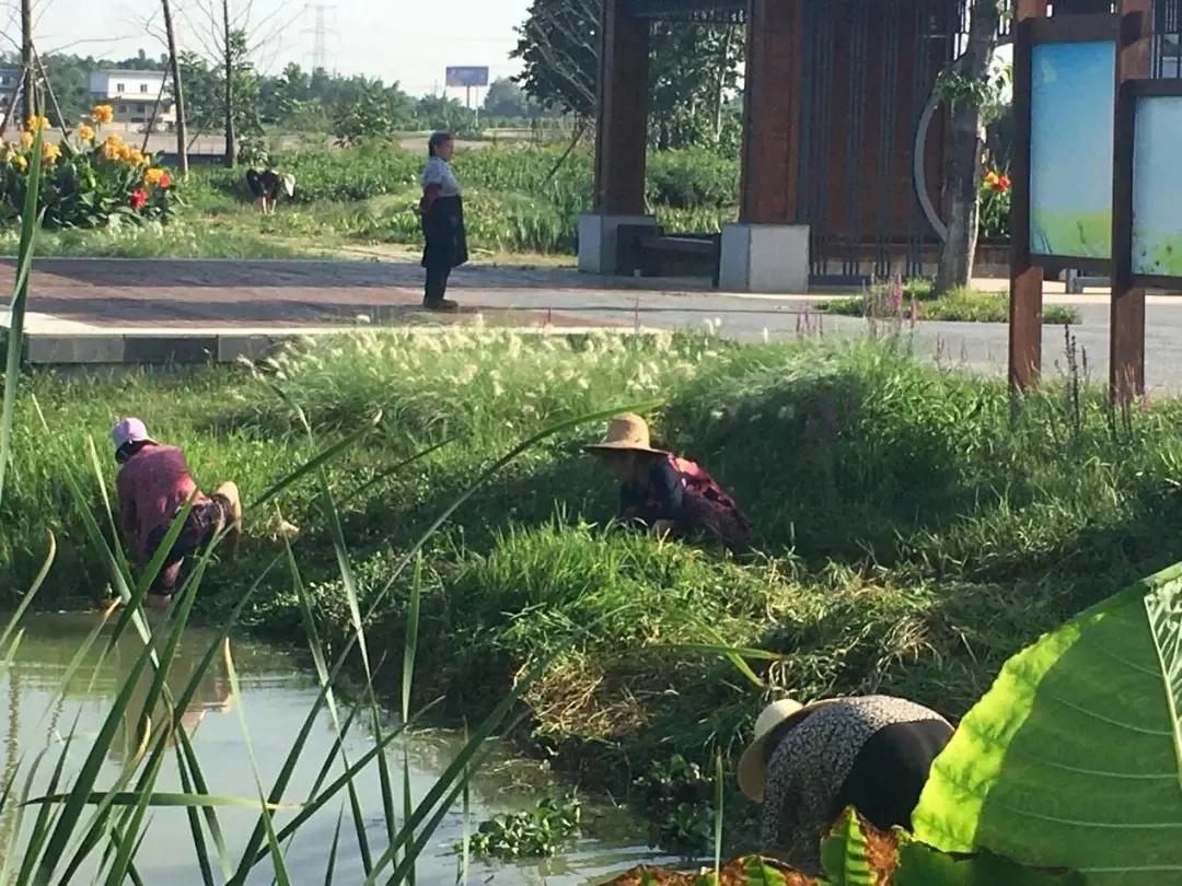 农村人居环境怎么改善,洪安乡村风貌