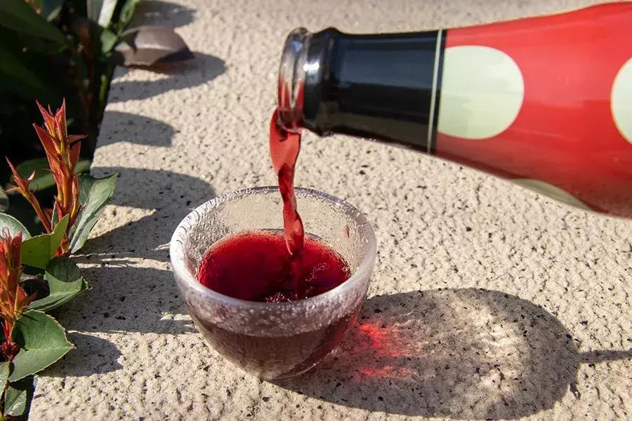 颜值高口感好度数高的果酒,颜值高的水果酒