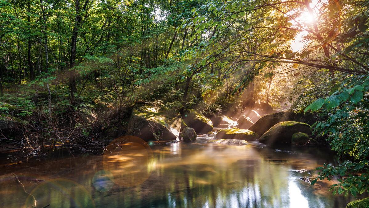 故乡的村庄女生版完整版,故乡的村庄歌曲