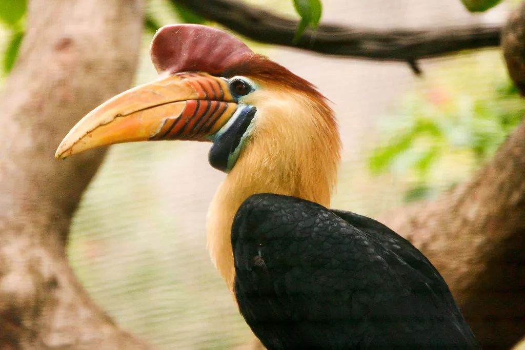 文玩的十大黑幕,文玩最让人无奈的六件事