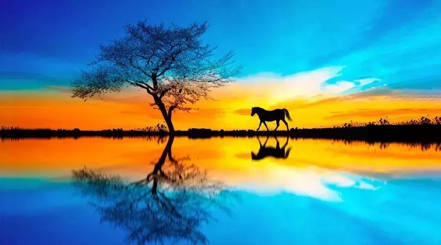 一匹马的故事，带你认识这个宇宙的真相！