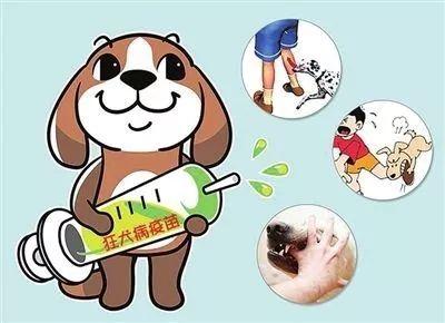 怀孕被狗咬,怀孕时被狗咬了