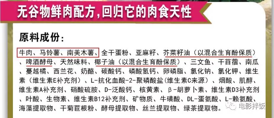 养猫怎样照顾猫,刚刚领养幼猫怎么养