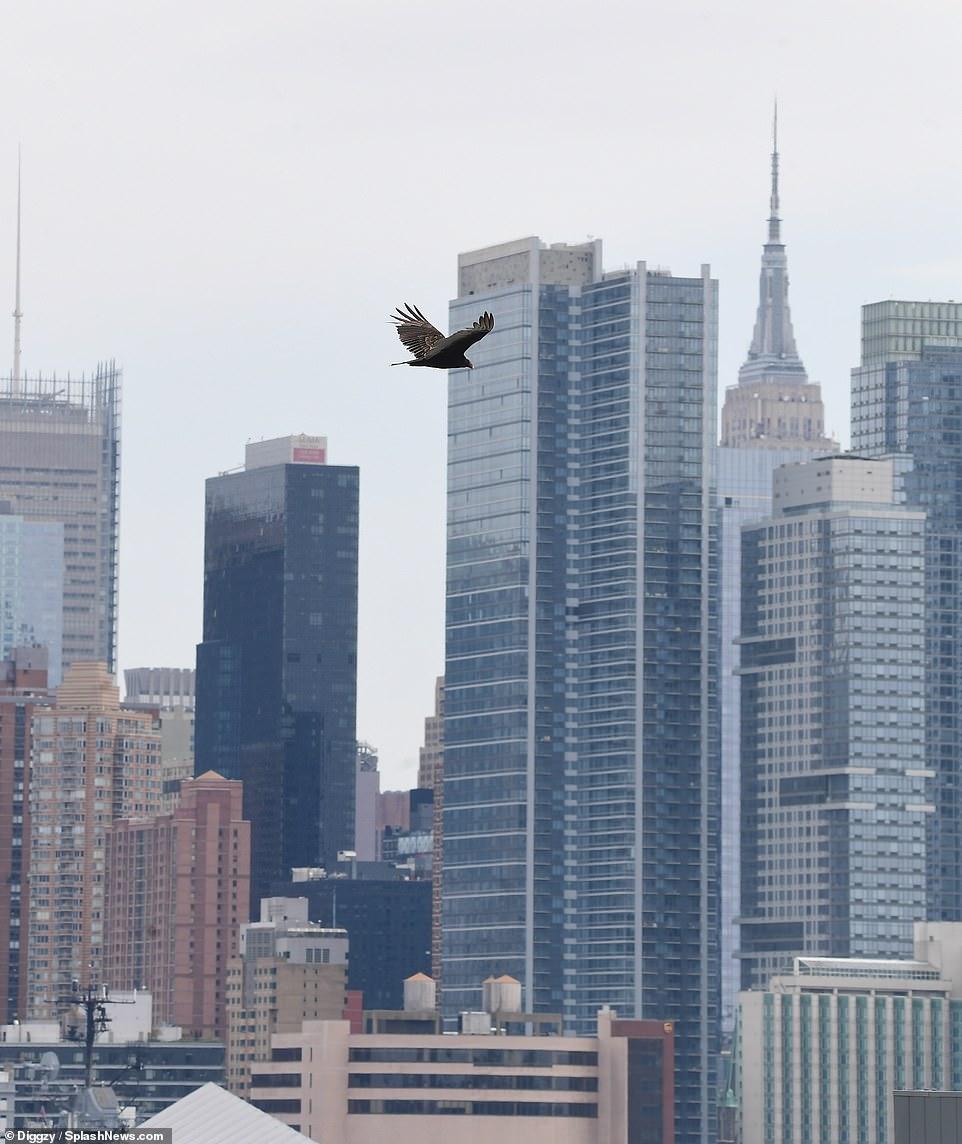 到底有多少真相被隐瞒？美军医疗船迎来意外之客，原因让人很揪心