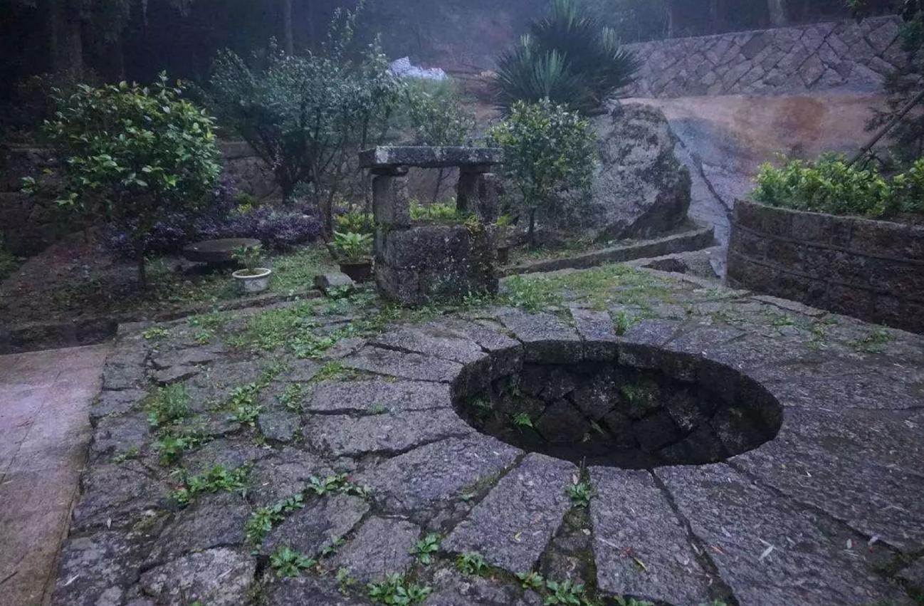 古井里有一只大乌龟,古井发现最大乌龟