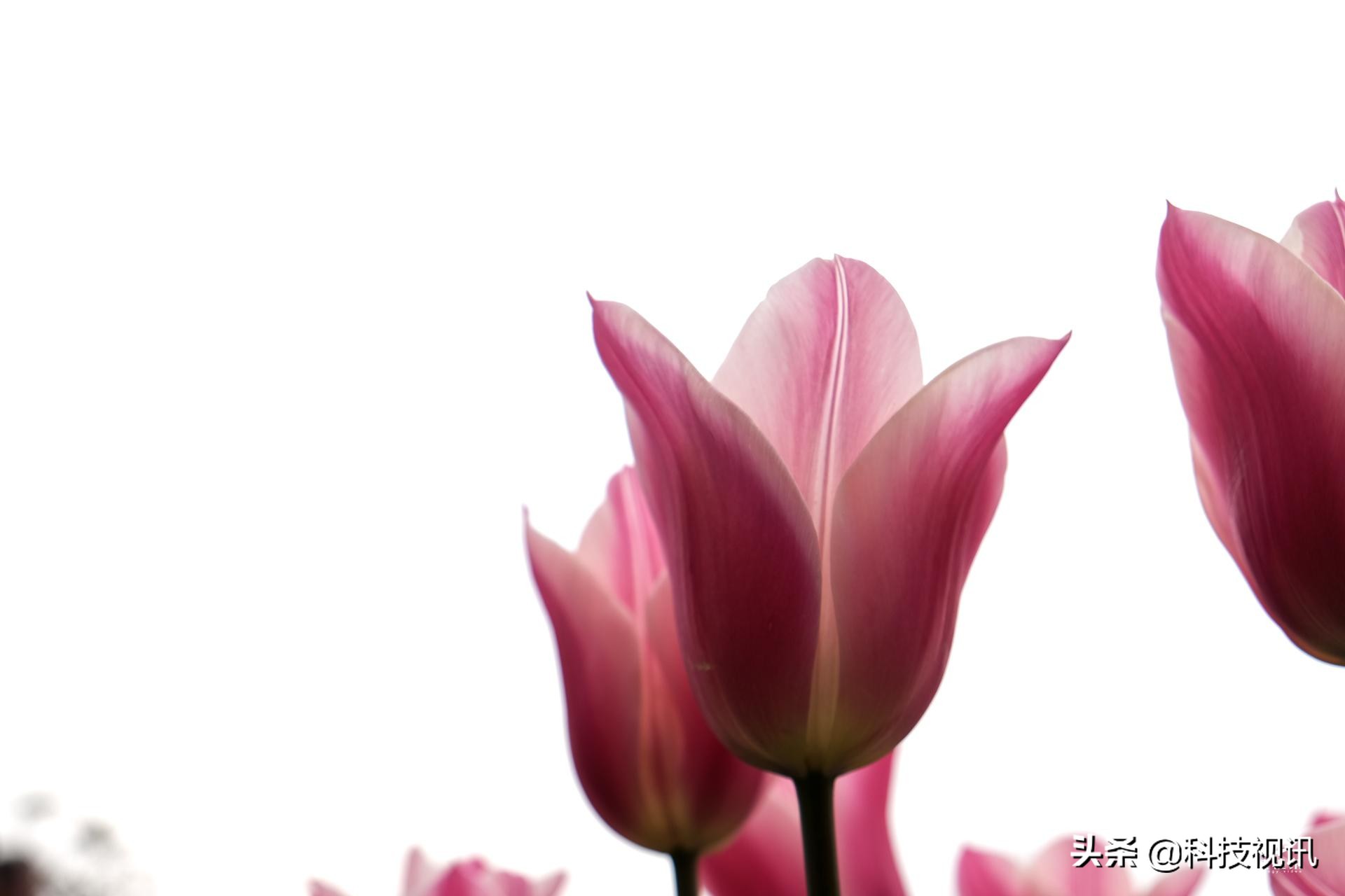 富士X-T30二代评测,富士x-t30开机键在哪儿