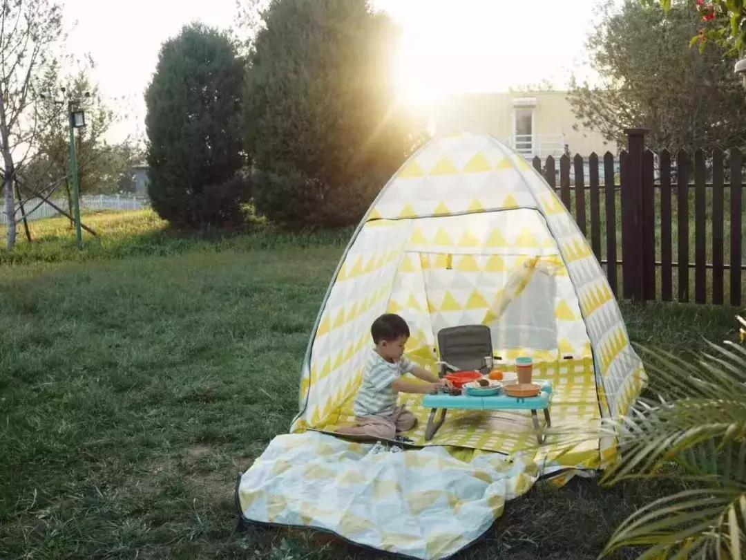 北京菊花花海,北京赏花好去处国际花港