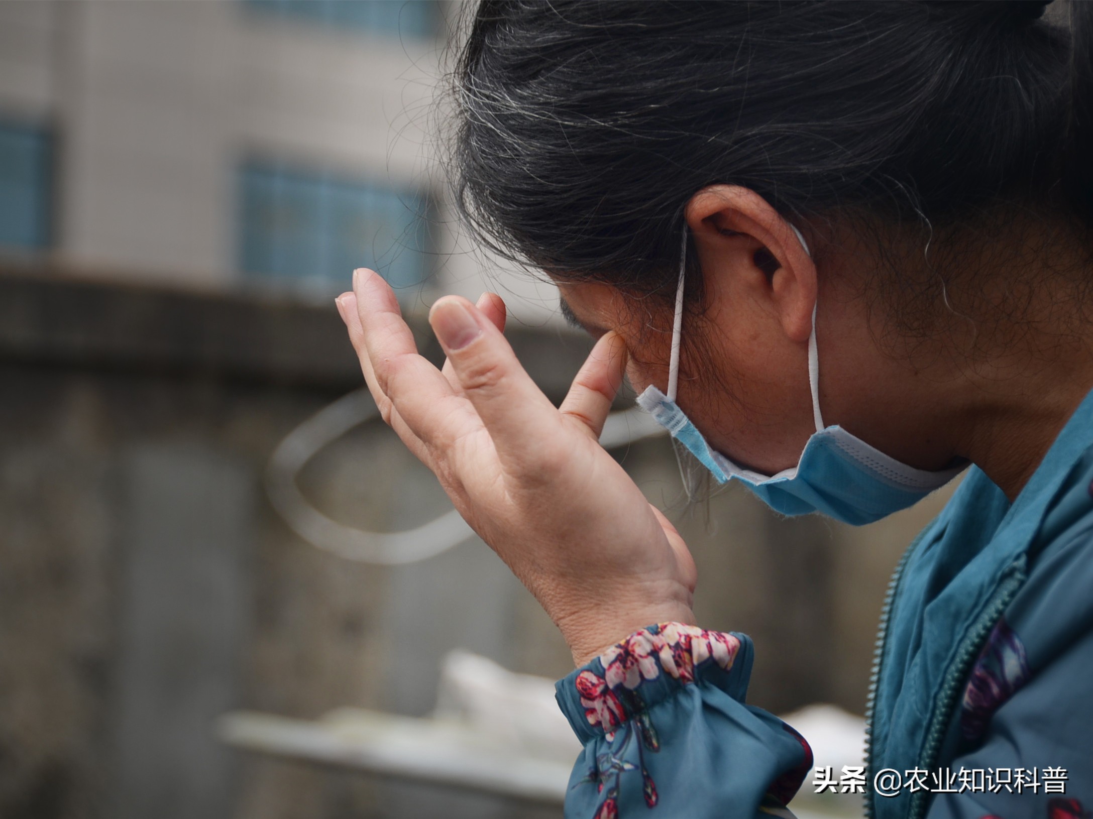 5岁男童反复高烧39.3度怎么办,5岁男孩反复高烧不退咳嗽