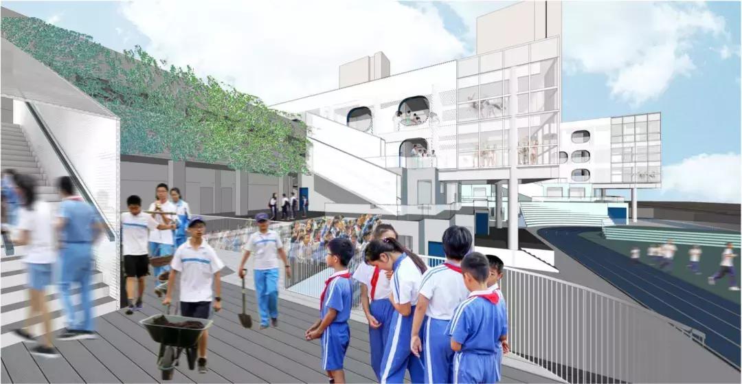 福强小学官网,福强小学实际排名