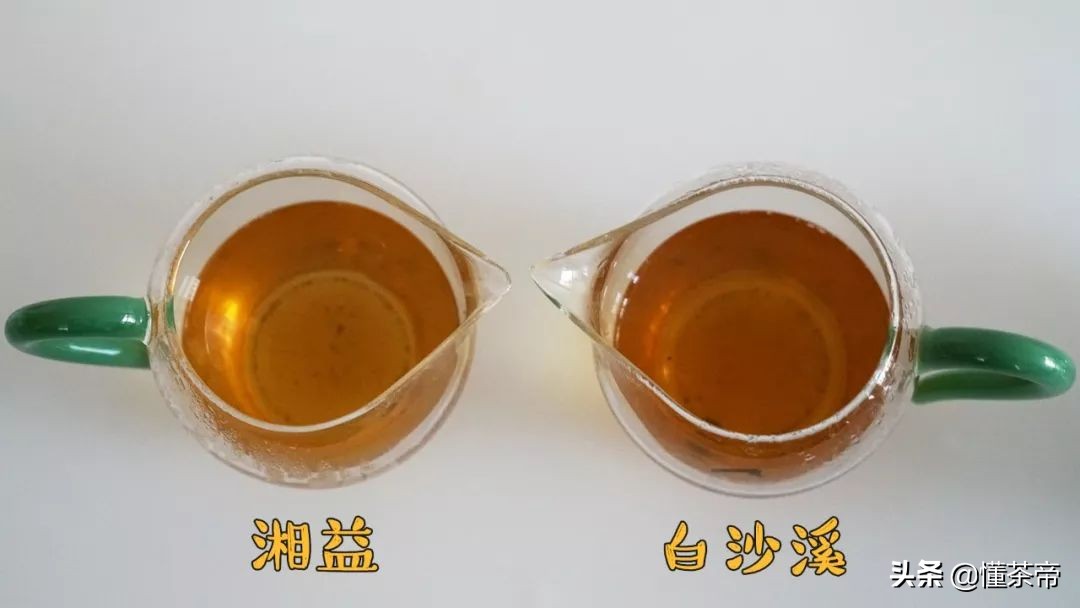 黑茶评测,哪个黑茶口感好香甜又好喝