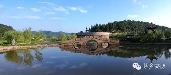 五一去婺源千古茶园,婺源茶文化旅游路线攻略