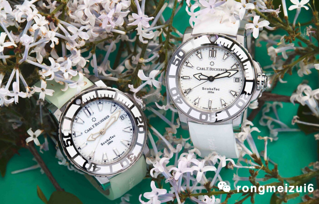 所有款式的表带,手表表带怎么选适合自己的