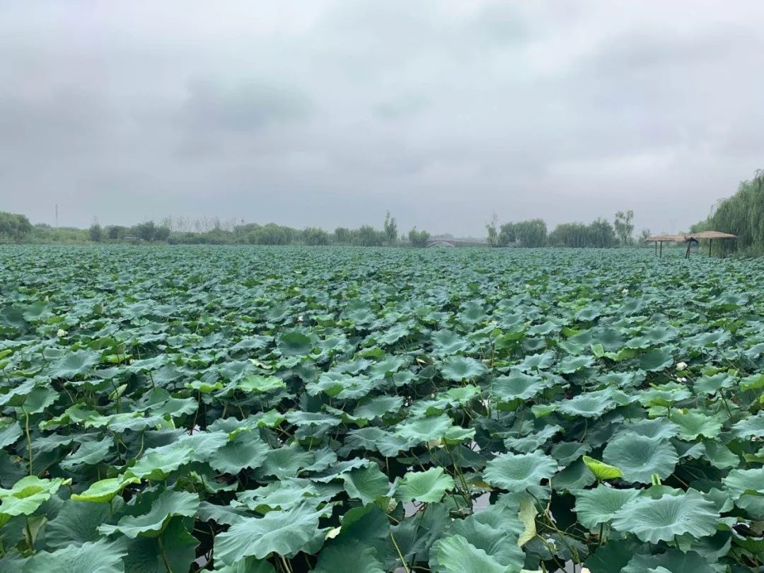 淄博慢城旅游攻略,淄博慢城