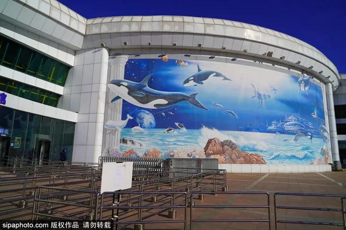 周末有风？别怕，来北京这里看花花草草和无数小可爱！猜到是哪里了吗？