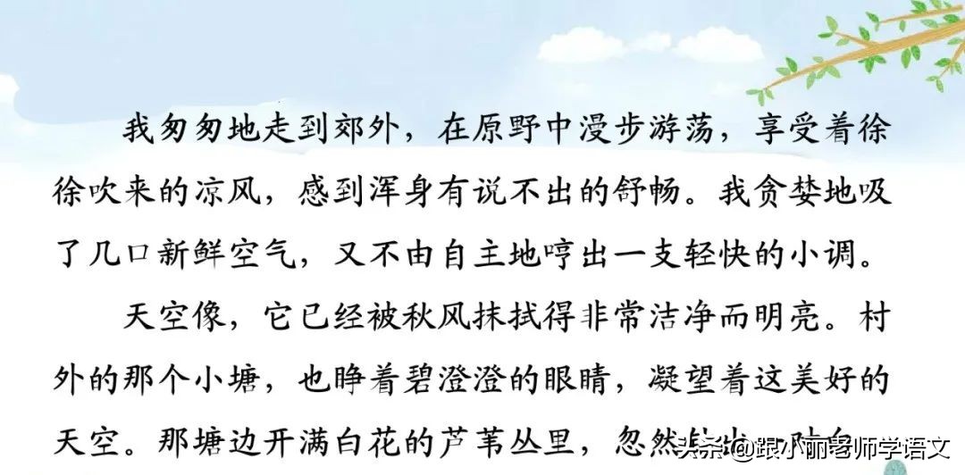 统编语文三上第5课《铺满金色巴掌的水泥道》知识点+同步练习