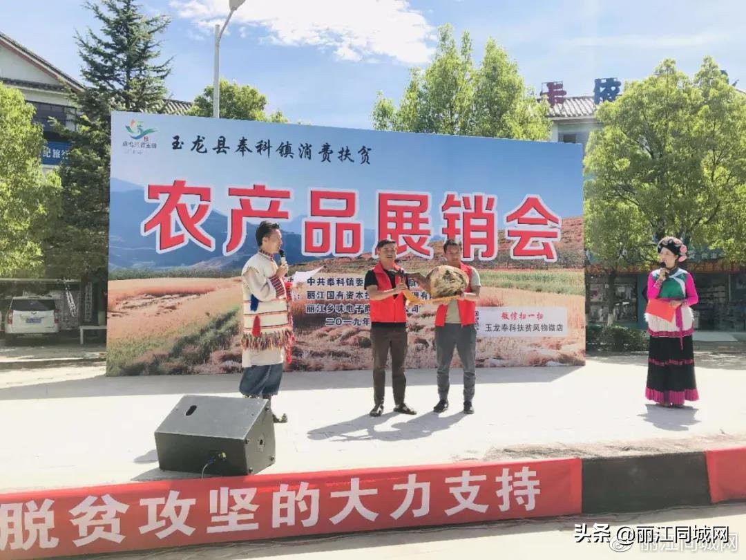 人大代表赵焕东力作奉科农产品的“搬运工”