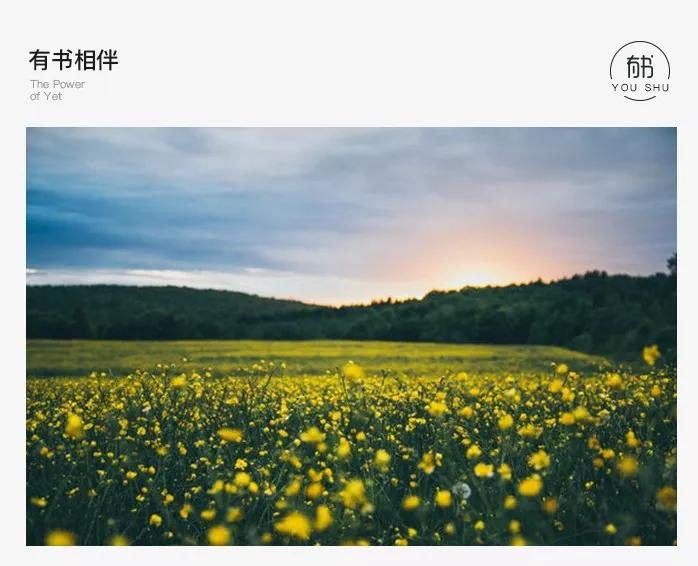 要怎么处理自己的情绪才最有效,人应该如何正确的控制自己的情绪