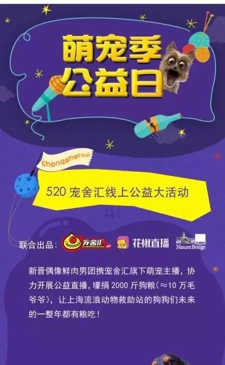 宠物经济新方向“萌宠频道”幕后操盘手ALEX