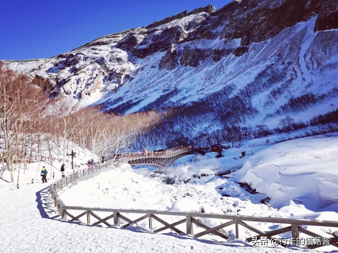 长白山天池猴子泡温泉 (长白山冬天看天池)