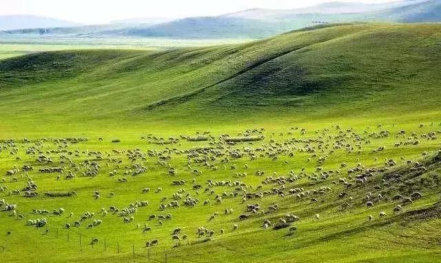内蒙古通辽景点排名第一的是哪里,内蒙古通辽市旅游景点都有哪些