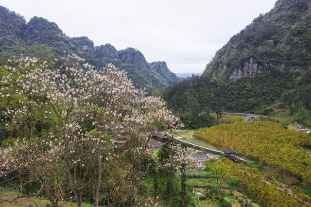 小南海地震遗址天气,这个地方为啥叫葫芦岛