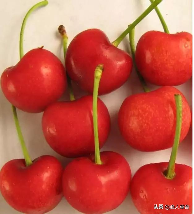 各国cherry车厘子品种，与我国大樱桃有哪些不同