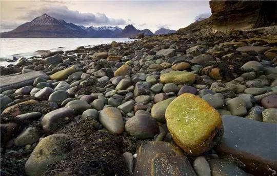 旅游禁止带什么东西,旅游景点不可带回的东西
