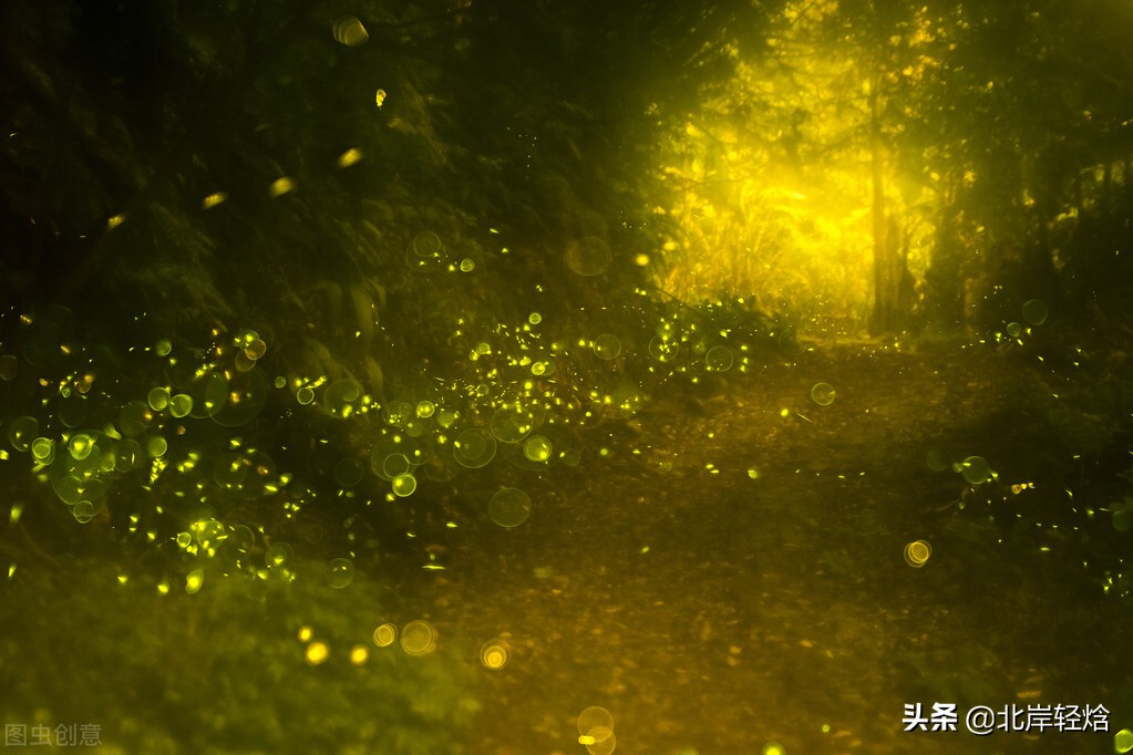 萤火虫发光原理,萤火虫的发光原理实验