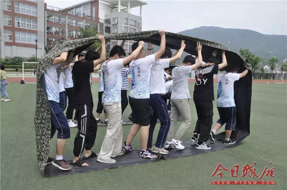 文体教育活动,文体教育系列活动