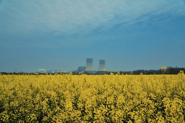 临潼油菜花海美景,阎良石川河哪里有油菜花