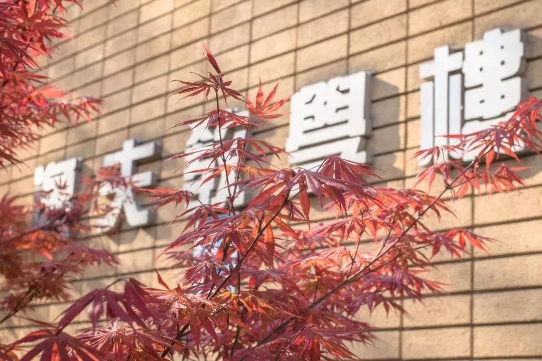 重磅排名发布!北京外国语大学高居外语类榜首,坐拥*级A**教育质量!