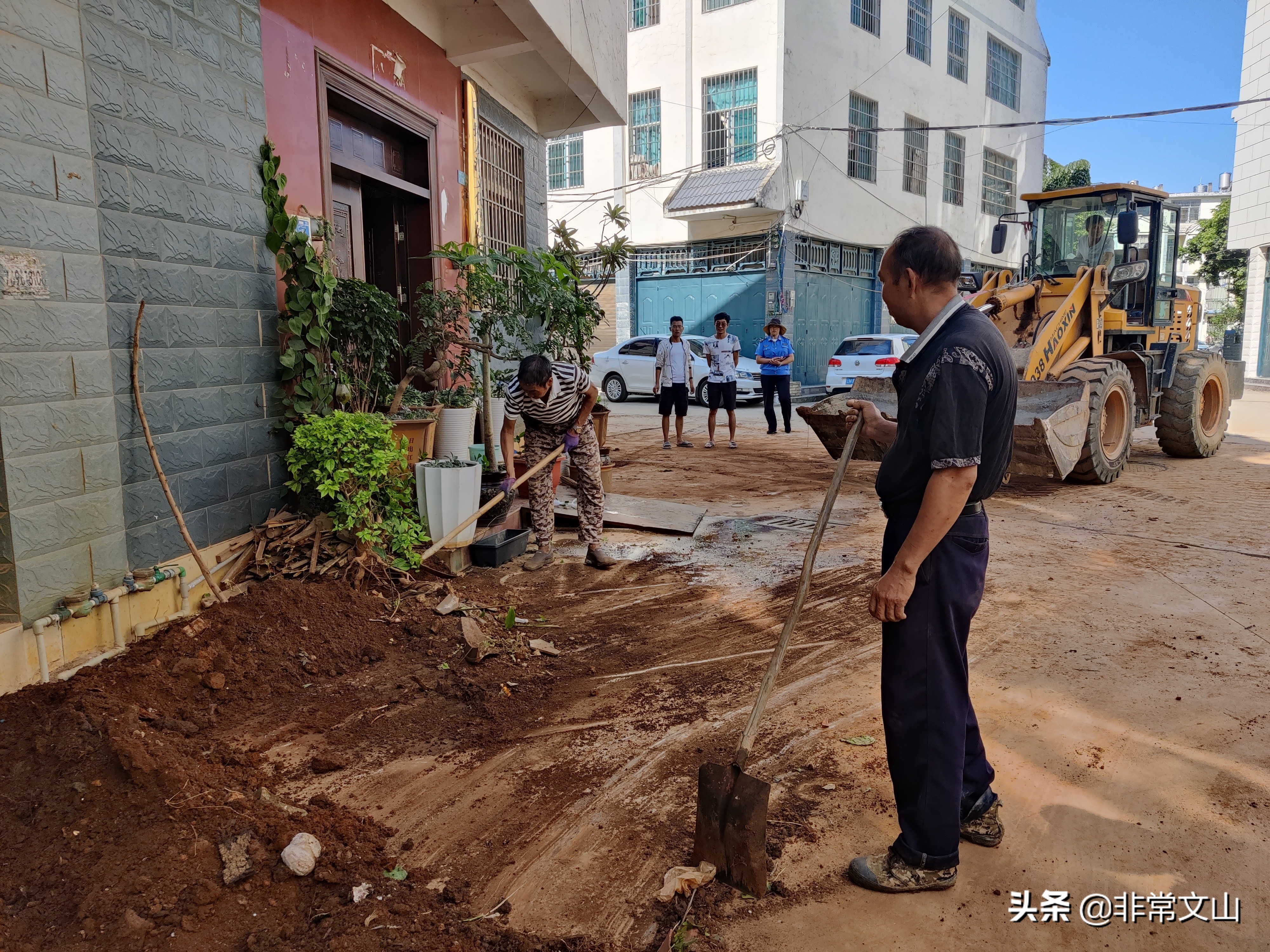 创卫创文行动,创文创卫新举措