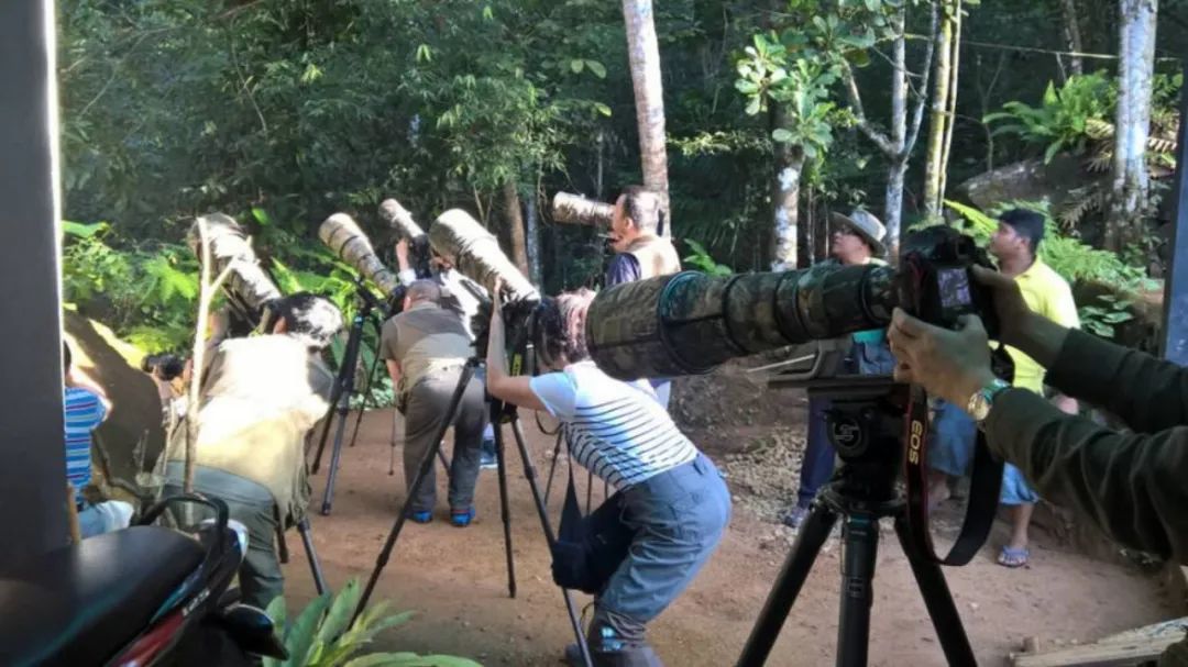 小白买相机该了解什么,小白入坑相机买什么牌子