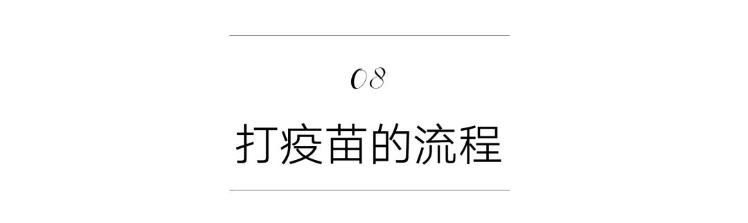 养猫咪新手入门必知疫苗怎么打,新手养猫疫苗怎么打