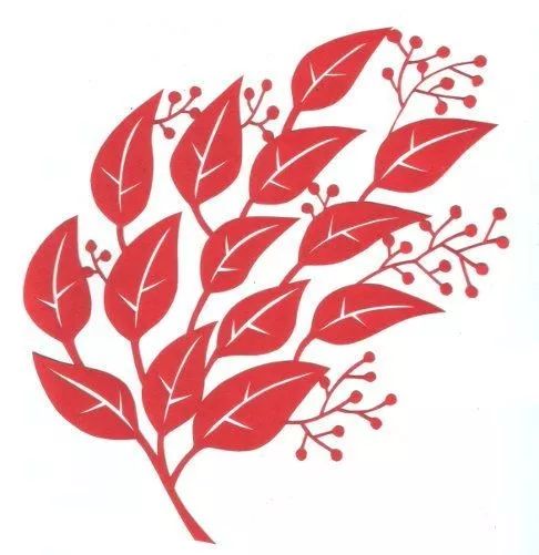 中国剪纸艺术的传承和深厚的文化,艺术剪纸图案大全步骤