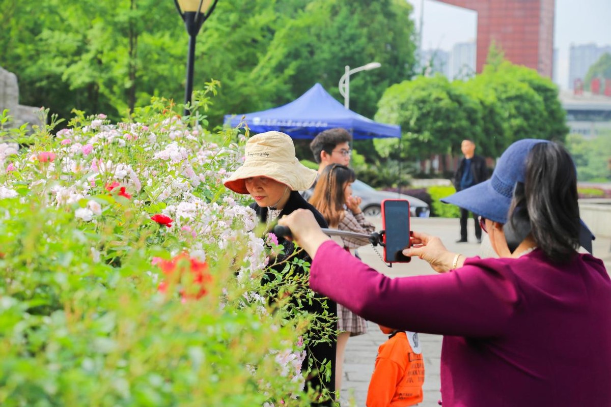 学*党**史、话科学、赏蔷薇，成都理工大学工程技术学院与你有“约”