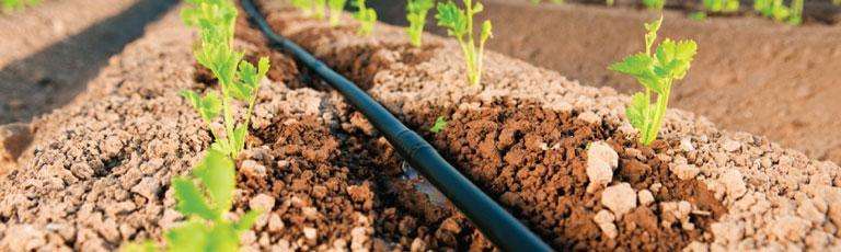 微喷滴灌的优缺点,微喷灌溉和滴灌