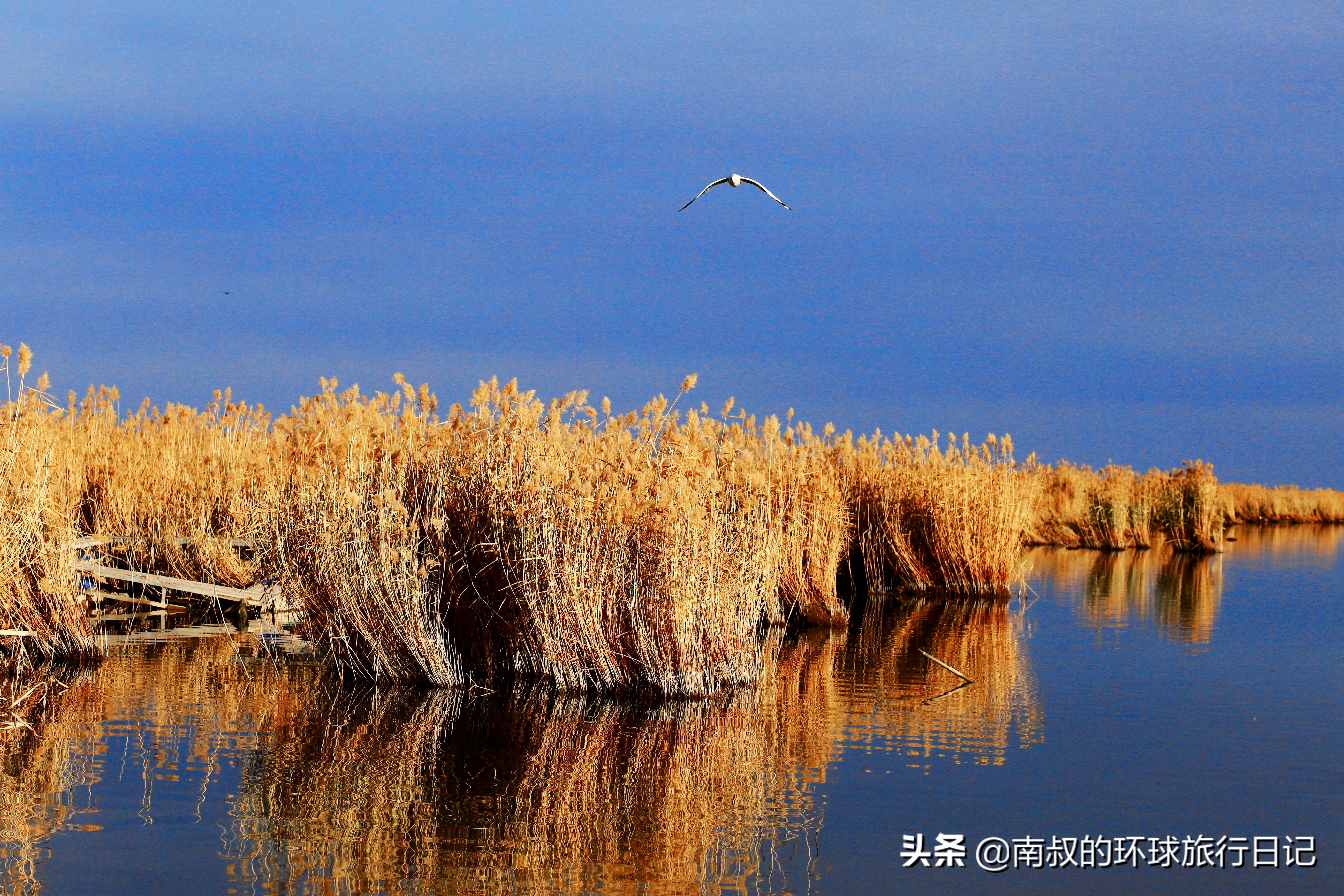青海湖是中国内陆最大的咸水湖,青海最漂亮的咸水湖有哪些