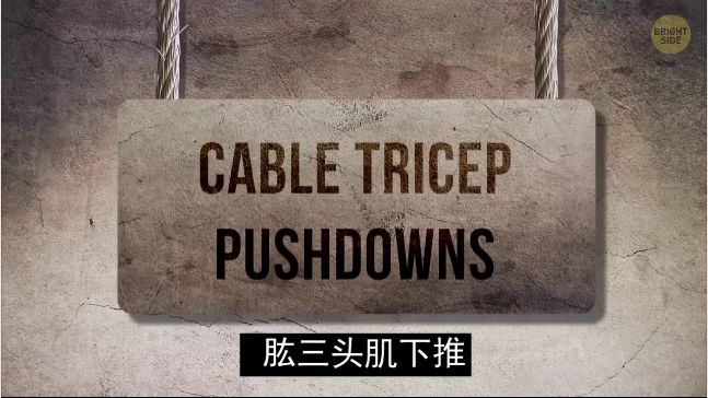 怎么练手臂的肱三头,怎么才能练出手臂的肱三头肌