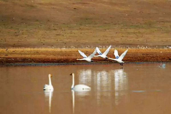九曲十八弯河流,九曲十八弯水库