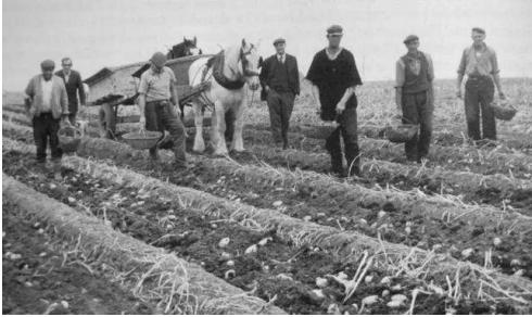 警惕病毒次生危害,警惕多种病毒一并来袭