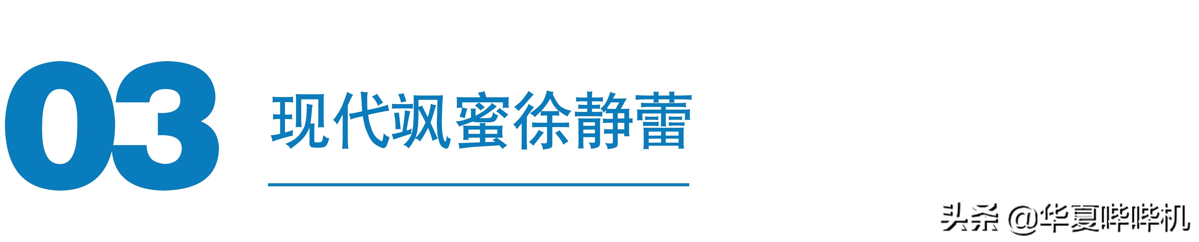 大飒蜜介绍,大飒蜜是哪个明星