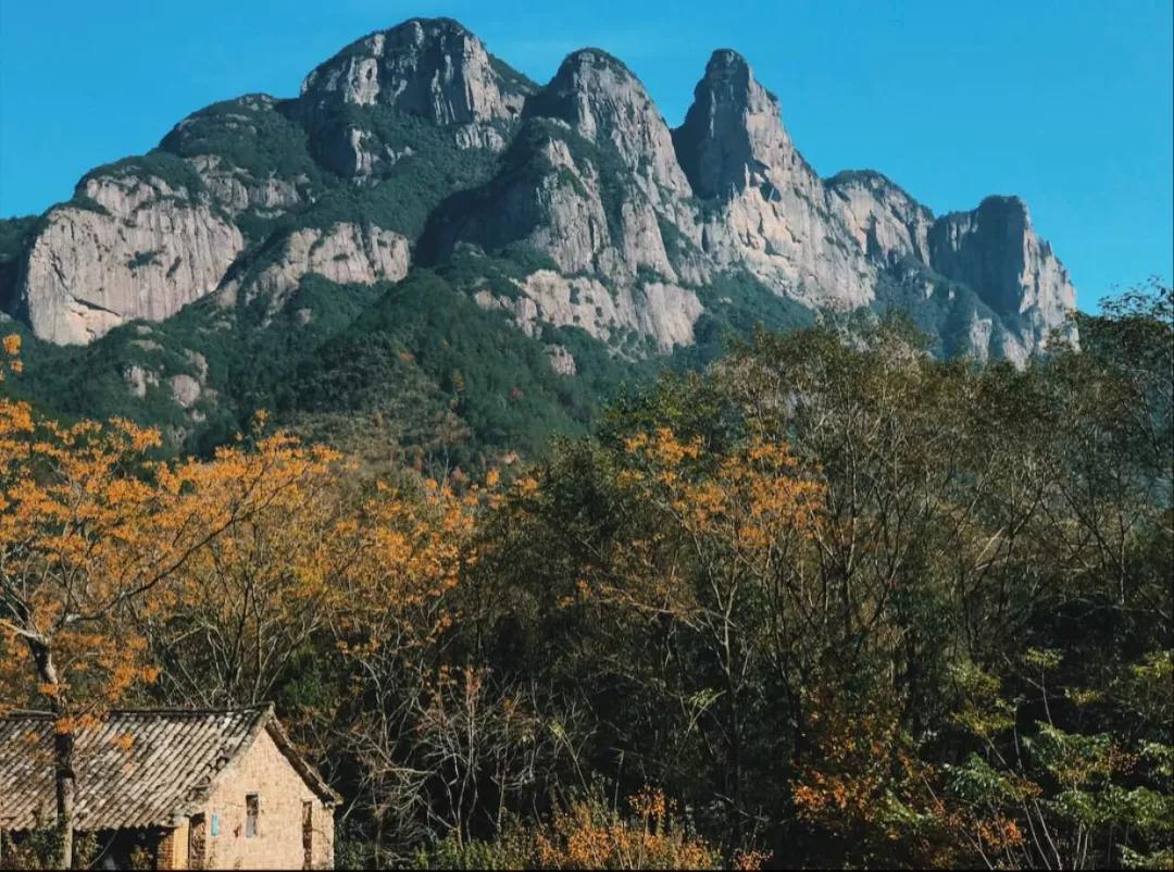 眺云海秘境、西子春晓，每一家都是旅行艺术，带你躺入春天~