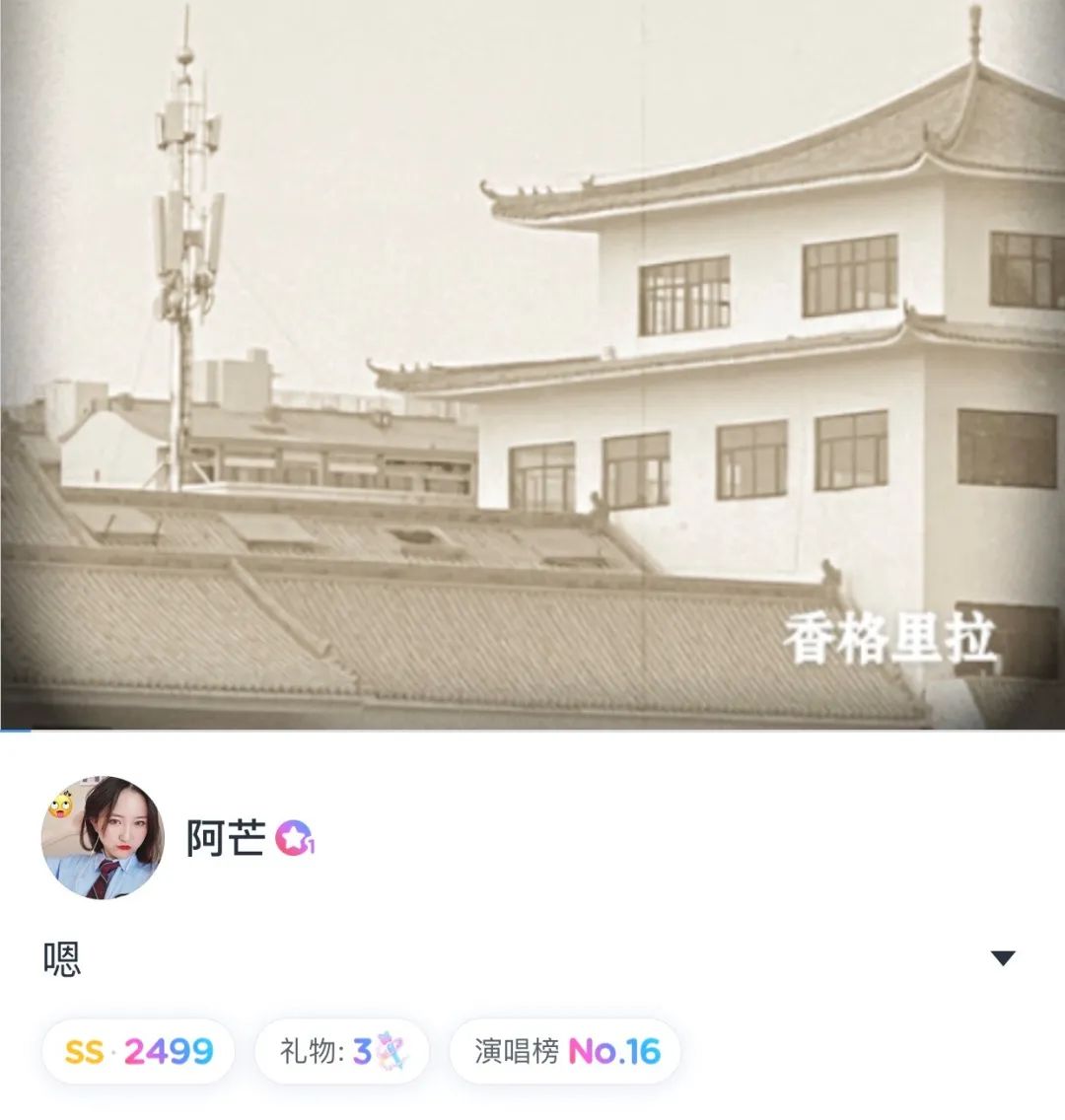 网易云音乐怎样打开歌词显示,网易云音乐怎样打开个性化服务