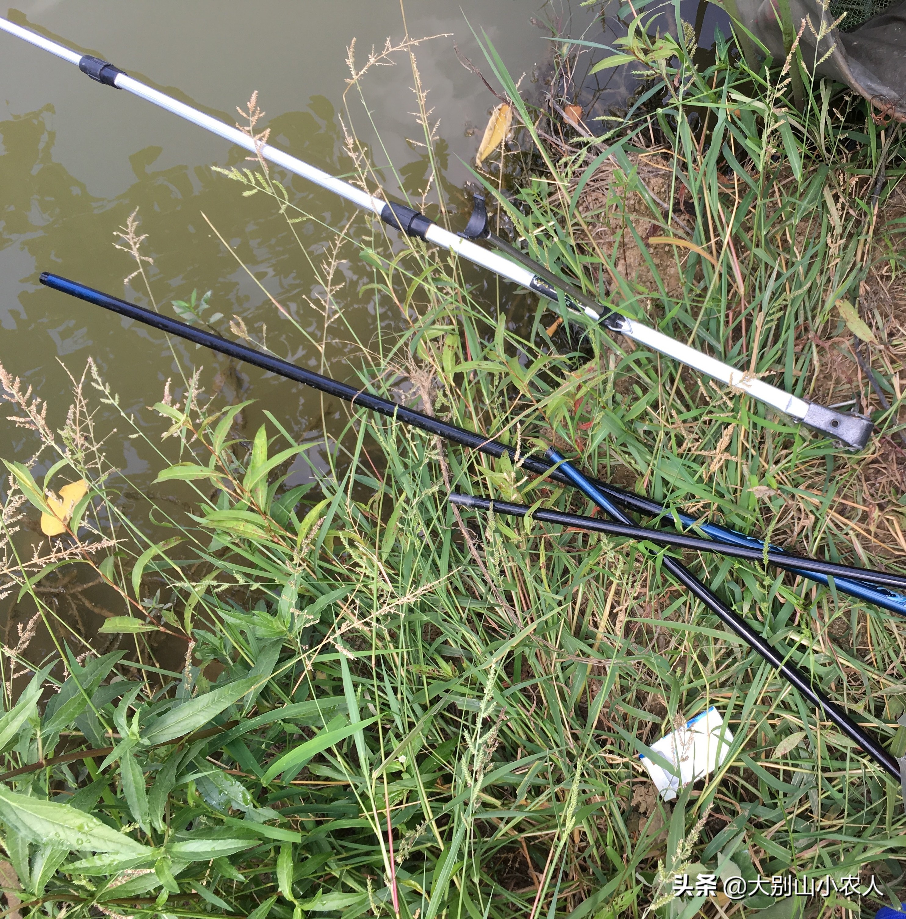 冬季钓鱼与锚鱼哪个效率高,钓鱼总是锚到鱼