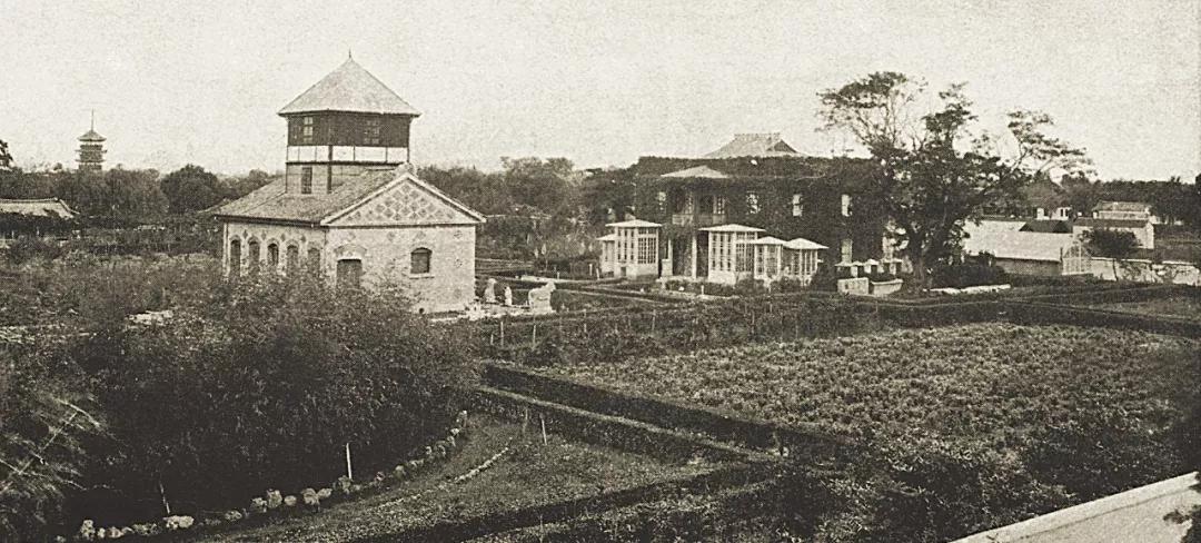 江苏的教育有多可怕,江苏的教育有多发达