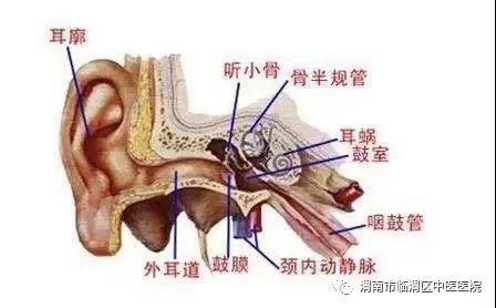 疫情下的ai课,疫情中的爱耳日