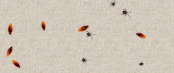 摸鱼网站推荐世界各地,摸鱼党必备游戏网站